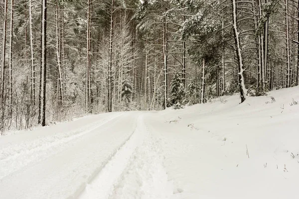 Orman Woth Mavi Gökyüzü Buz Kar Kaplı Karlı Kış Yolu — Stok fotoğraf