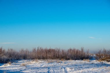 düşük kar kapsama ile kışın dondurulmuş deniz Plajı. Sahilde güneşli bir gün içinde buz