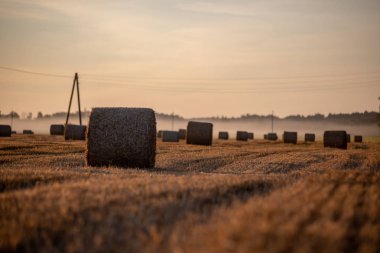 arka planda güneş ışınları ve sis ile kırsal sonbahar havalarda alanda kuru saman rulo. sabah erken ülke sahne
