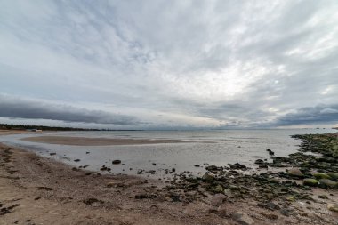 kumlarda yalnız ağaçlar ve kayalar ile sonbahar boş deniz Plajı. bulutlu gün