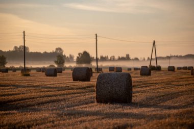 arka planda güneş ışınları ve sis ile kırsal sonbahar havalarda alanda kuru saman rulo. sabah erken ülke sahne