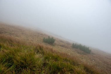 sonbaharda Slovakça manzara üzerinde bulutlu ve sisli gündoğumu. Tatra güneş doğar gibi arka planda moountains. Elektrik direkleri alanında