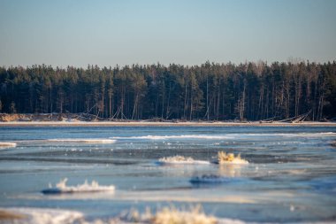 düşük kar kapsama ile kışın dondurulmuş deniz Plajı. Sahilde güneşli bir gün içinde buz