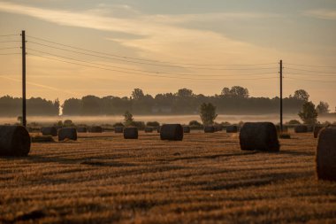 arka planda güneş ışınları ve sis ile kırsal sonbahar havalarda alanda kuru saman rulo. sabah erken ülke sahne