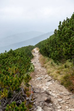 sonbaharda Slovakça manzara üzerinde bulutlu ve sisli gündoğumu. Tatra güneş doğar gibi arka planda moountains. Elektrik direkleri alanında