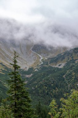Slovakya 'da turist parkurları sonbaharda Tatra Dağları. sis ve bulutlar ile dağ tops üzerinde bulutlu gün sahne