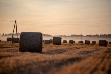arka planda güneş ışınları ve sis ile kırsal sonbahar havalarda alanda kuru saman rulo. sabah erken ülke sahne
