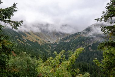 Slovakya 'da turist parkurları sonbaharda Tatra Dağları. sis ve bulutlar ile dağ tops üzerinde bulutlu gün sahne