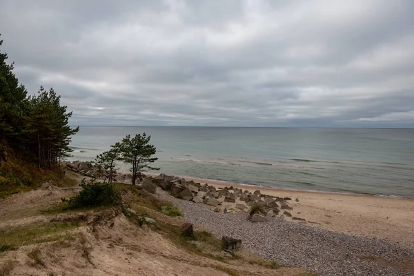 Порожній Морський Пляж Восени Самотніми Деревами Скелями Пісках Звільнений День — стокове фото