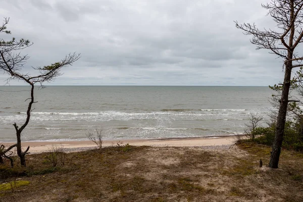 Leerer Strand Herbst Mit Einsamen Bäumen Und Felsen Sand Bewölkter — Stockfoto