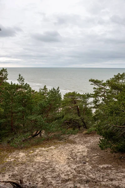 Пустой Морской Пляж Осенью Одинокими Деревьями Скалами Песках Пасмурный День — стоковое фото