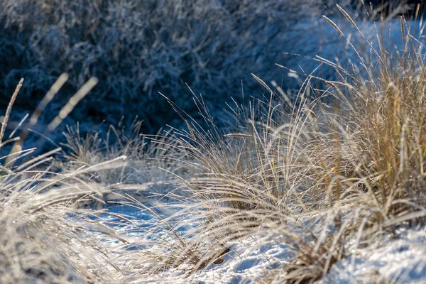 Gefrorener Meeresstrand Winter Mit Geringer Schneedecke Eis Sonnigen Tagen Strand — Stockfoto