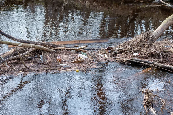 dirty forest river in spring. water contaminated with old tree trunks and leftovers