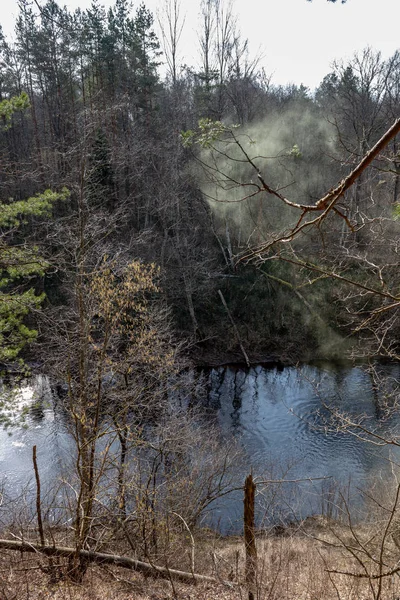 dirty forest river in spring. water contaminated with old tree trunks and leftovers