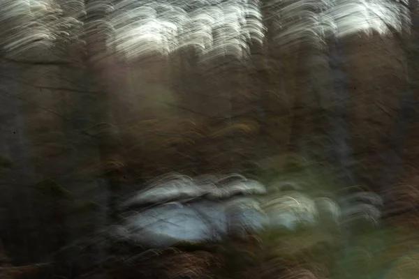 Pohybové Rozostření Objektivu Přirozené Pozadí Přírody Podzimní Barvy Abstraktní — Stock fotografie