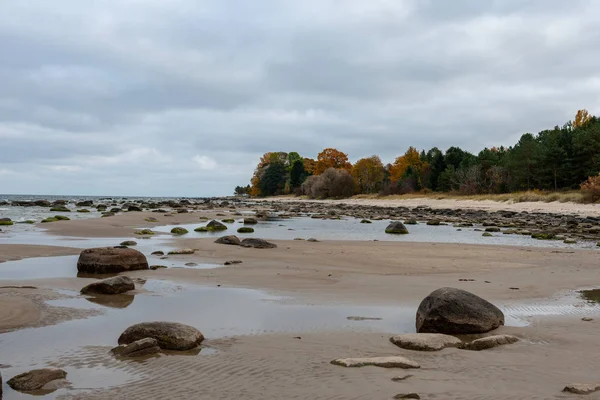 Pusta Plaża Morska Jesienią Samotnych Drzew Skał Piaskach Dzień Zachmurzenie — Zdjęcie stockowe