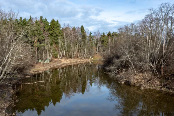 春の汚い森川 古い木の幹と残り物で汚染された水 — ストック写真