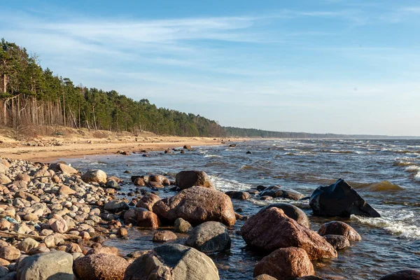 Playa Mar Vacía Con Restos Hielo Sin Nieve Invierno — Foto de Stock