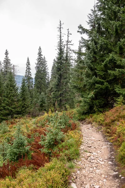 Podzim Turistické Stezky Slovensku Horách Tatra Oblačné Denní Scenérie Nad — Stock fotografie