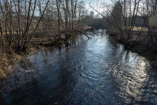 dirty forest river in spring. water contaminated with old tree trunks and leftovers