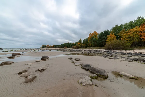 秋天空旷的海滨 沙滩上有孤寂的树木和岩石 — 图库照片