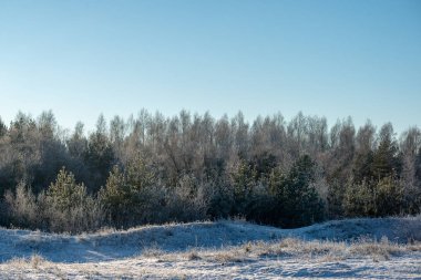 düşük kar kapsama ile kışın dondurulmuş deniz Plajı. Sahilde güneşli bir gün içinde buz