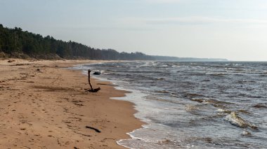 buz kalan ve kış aylarında hiçbir kar ile boş deniz Plajı