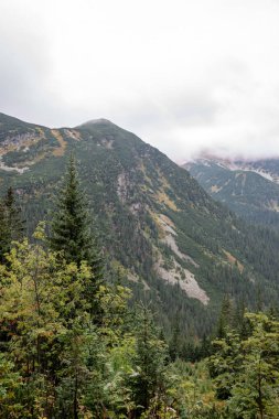 Slovakya 'da turist parkurları sonbaharda Tatra Dağları. sis ve bulutlar ile dağ tops üzerinde bulutlu gün sahne