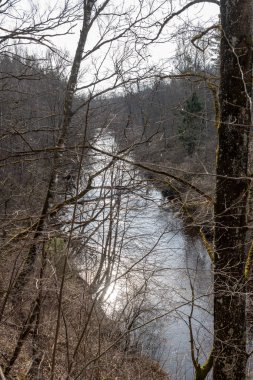 Baharda kirli orman Nehri. su eski ağaç gövdeleri ve kalan ile kontamine