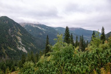 Slovakya 'da turist parkurları sonbaharda Tatra Dağları. sis ve bulutlar ile dağ tops üzerinde bulutlu gün sahne