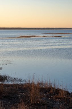 kumlarda yalnız ağaçlar ve kayalar ile sonbahar boş deniz Plajı. bulutlu gün