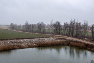 Baharda kirli orman Nehri. su eski ağaç gövdeleri ve kalan ile kontamine