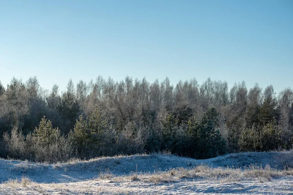 düşük kar kapsama ile kışın dondurulmuş deniz Plajı. Sahilde güneşli bir gün içinde buz