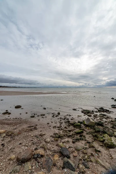 Lege Zee Strand Herfst Met Eenzame Bomen Rotsen Het Zand — Stockfoto