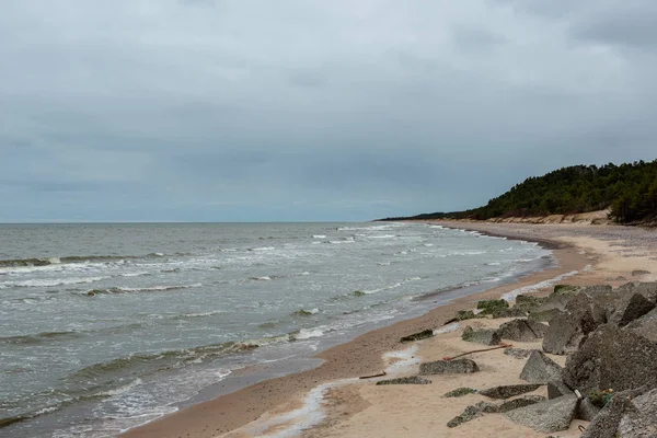 Pusta Plaża Morska Jesienią Samotnych Drzew Skał Piaskach Dzień Zachmurzenie — Zdjęcie stockowe