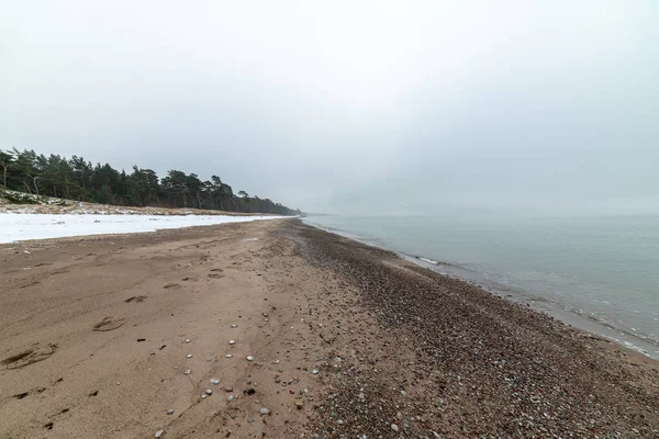 Empty Sea Beach Ice Leftovers Snow Winter — Stock Photo, Image