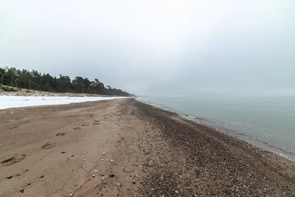 Üres Tenger Strand Jég Maradékokat Nincs Télen — Stock Fotó