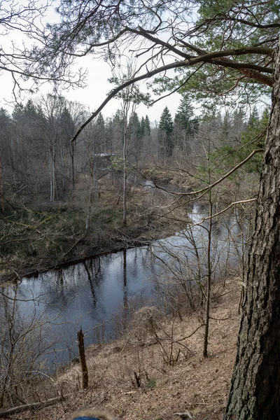 dirty forest river in spring. water contaminated with old tree trunks and leftovers