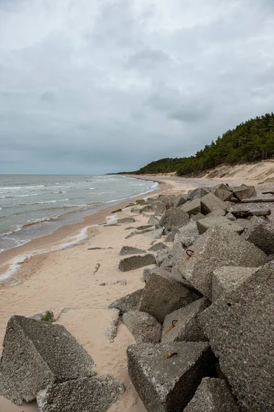 Pusta Plaża Morska Jesienią Samotnych Drzew Skał Piaskach Dzień Zachmurzenie — Zdjęcie stockowe