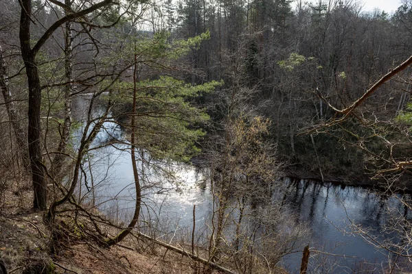 Río Sucio Del Bosque Primavera Agua Contaminada Con Troncos Restos —  Fotos de Stock