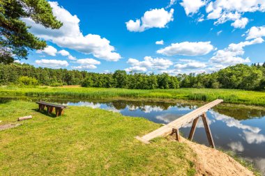 yeşil yaprakları ve gölgeleri ile güneşli yaz gününde doğal orman gölü. bulutların yansımaları ile sakin su