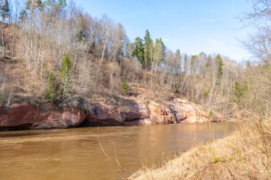 mavi gökyüzü ile güneşli bir günde orman nehrinde çamurlu kahverengi kaynak suyu akışı