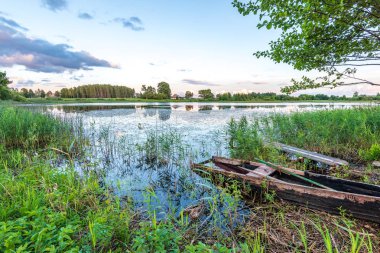 yeşil yaprakları ve gölgeleri ile güneşli yaz gününde doğal orman gölü. bulutların yansımaları ile sakin su