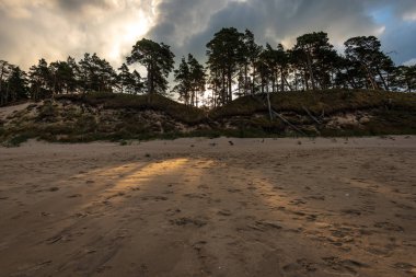kum üzerinde ağaçlardan dramatik bulutlar ve gölgeler ile fırtına öncesi boş deniz plajı. yüksek rüzgar