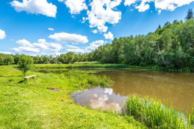 yeşil yaprakları ve gölgeleri ile güneşli yaz gününde doğal orman gölü. bulutların yansımaları ile sakin su
