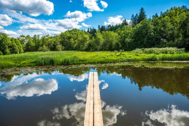 yeşil yaprakları ve gölgeleri ile güneşli yaz gününde doğal orman gölü. bulutların yansımaları ile sakin su