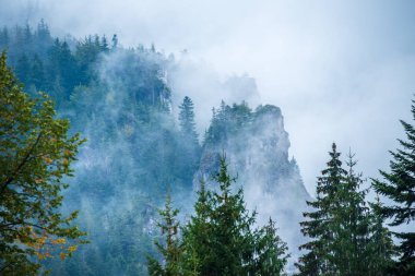 Slovakya Tatra dağlarında orman vadilerinden yükselen sis. yukarıdan görülen güneşli bir gün, bulutların üzerinde yürüme