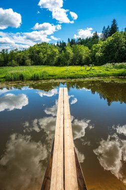 yeşil yaprakları ve gölgeleri ile güneşli yaz gününde doğal orman gölü. bulutların yansımaları ile sakin su