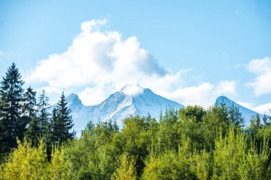 Slovakya Tatra dağlarında orman vadilerinden yükselen sis. yukarıdan görülen güneşli bir gün, bulutların üzerinde yürüme