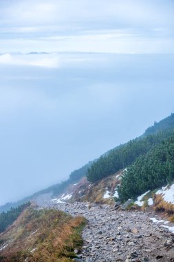 Slovakya Tatra dağlarında orman vadilerinden yükselen sis. yukarıdan görülen güneşli bir gün, bulutların üzerinde yürüme